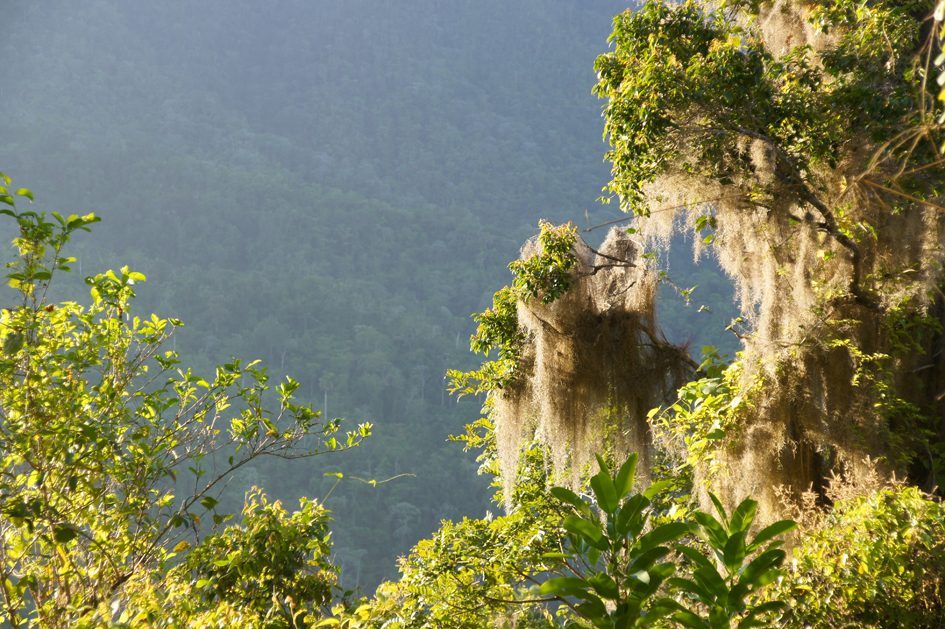 Cuba : Sierra Maestra y Comandancia de la Plata, photo 10