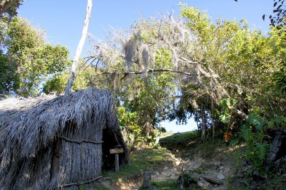 Cuba : Sierra Maestra y Comandancia de la Plata, photo 20