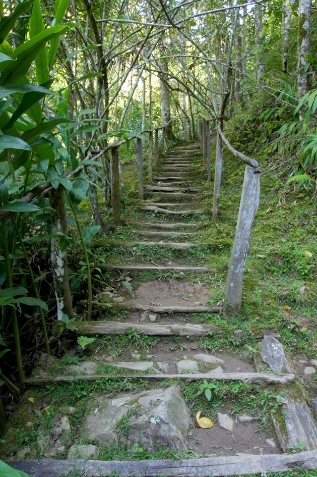 Cuba : Sierra Maestra y Comandancia de la Plata, photo 22