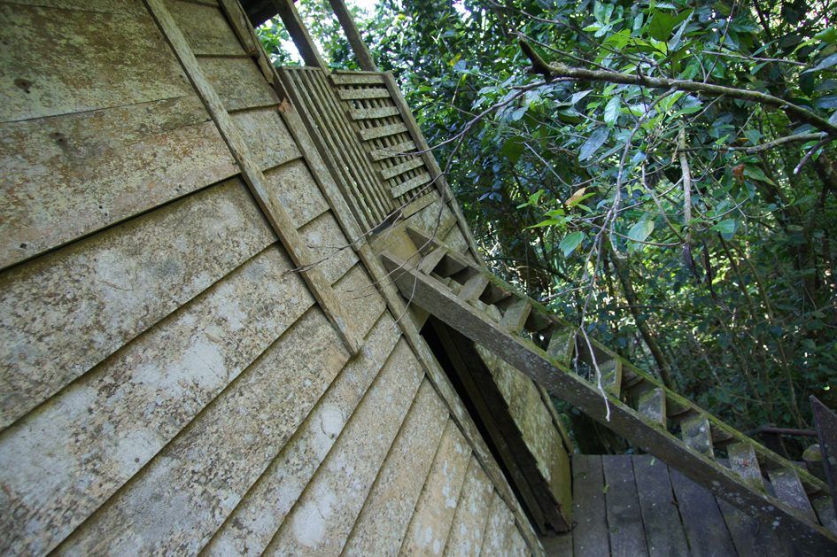 Cuba : Sierra Maestra y Comandancia de la Plata, photo 25
