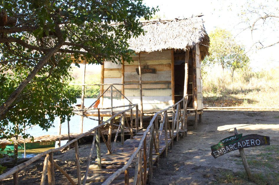 Laguna Guanaroca, photo 8