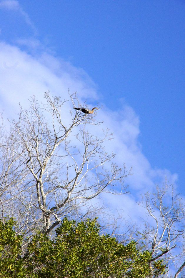 Laguna Guanaroca, photo 9