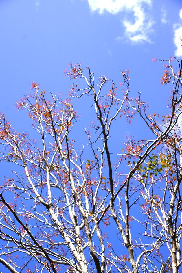 Laguna Guanaroca, photo 12