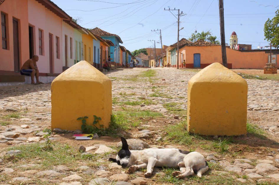 Trinidad, photo 18
