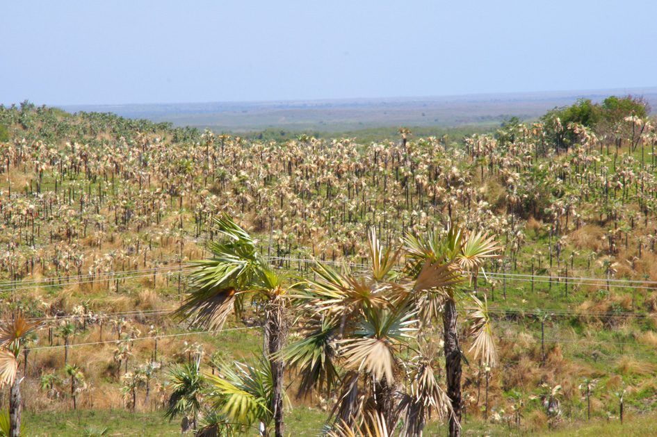 Cuba : Valle de los ingenios & Playa Ancon, photo 2