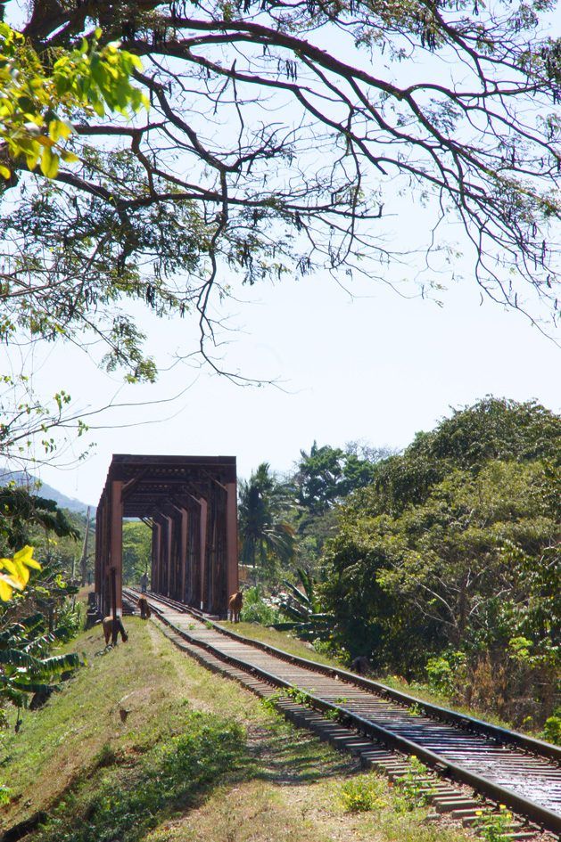 Cuba : Valle de los ingenios & Playa Ancon, photo 4